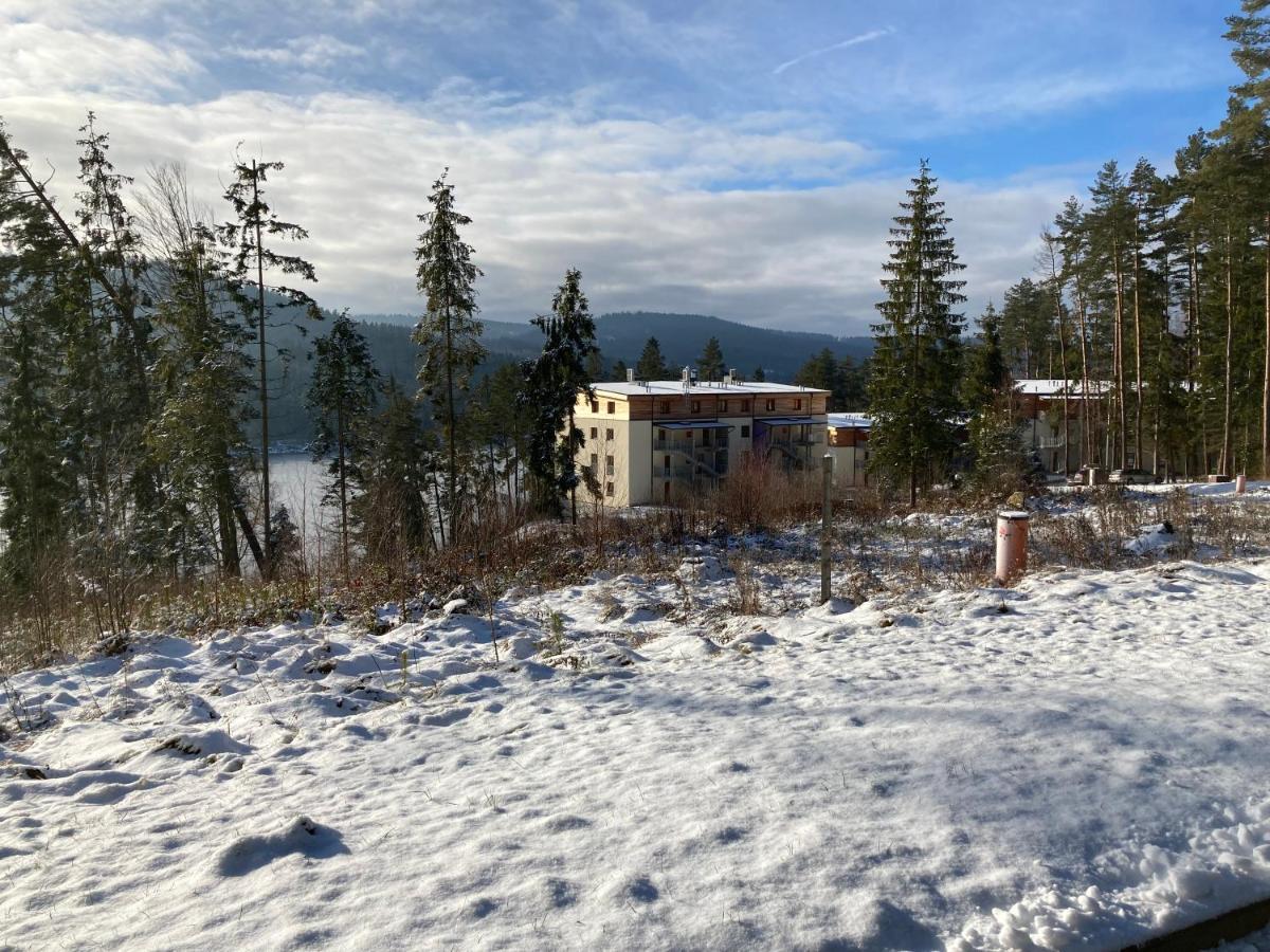 Lipno Port Apartment A103 Lipno nad Vltavou Buitenkant foto